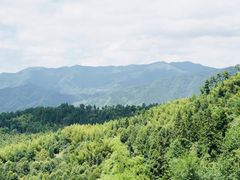 -塔川景区