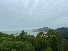 -广东惠东海龟国家级自然保护区