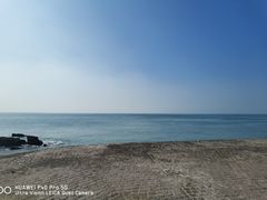 -燕儿岛山公园