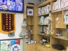 -中农大我爱我爱动物医院·核磁CT·猫病·24小时夜诊中心(石佛营店)