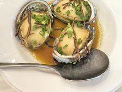 果皮蒸鲍鱼-凤凰楼酒家·粤宴点心(华强北店)
