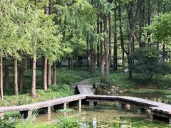 -杭州植物园