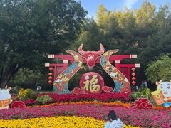 -金鸡山公园