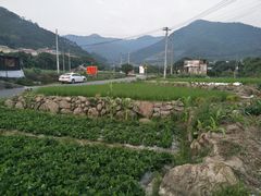 -长隆农庄
