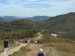 -灵山
