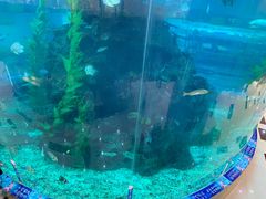 -鸿通城购物中心