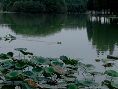 -艾溪湖湿地公园