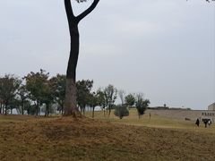 -盘龙城国家考古遗址公园