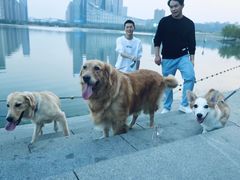-天鹅湖体育公园