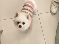 -怪兽屋·羊驼·猫咖·狗咖(俊华广场店)