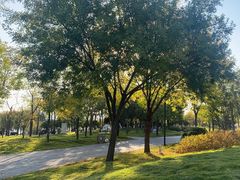 -象湖生态湿地公园