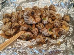 -大东海海鲜酒楼(渔人码头总店)