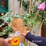 厦门探店|新店速递·开在街角的独栋小酒馆🍭