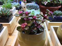-北京华联购物中心(同成街店)