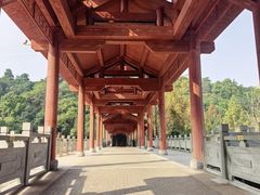 -重庆彩云湖湿地公园