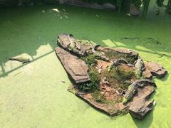 -南昌动物园