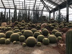 -南通洲际绿博园