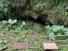 -海口火山口国家地质公园