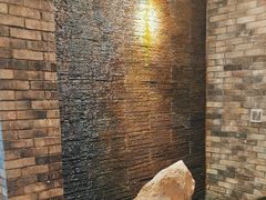 -巢湖名吃·东关老鹅汤(江南风情街店)