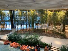 -北京望京凯悦酒店The Lounge大堂酒廊