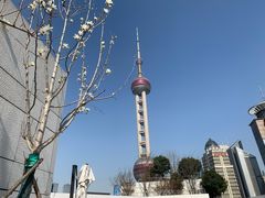 -璞渼咖啡 ROOF P.M. Café(浦东美术馆店)