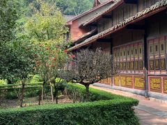 -峨眉山报国寺