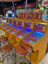 -卡通尼·Safari非洲探索乐园·生日会(金桥国际商业广场店)