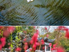 -无锡蠡湖国家湿地公园-蠡园