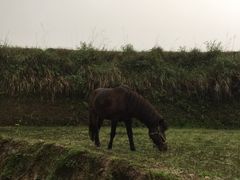 -桂林微笑堂商厦