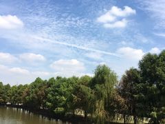 -上海海湾国家森林公园