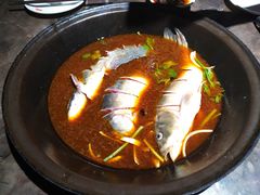 -肥鱼屯活鱼锅(惠工街店)