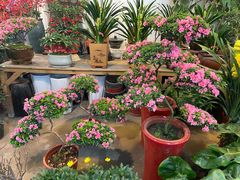 -双季花艺园艺市场(浦东店)