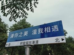 -溱湖国家湿地公园