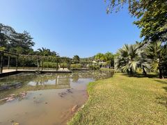 -中国科学院西双版纳热带植物园