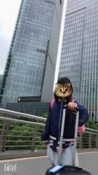 -静安洲际酒店·宴会厅