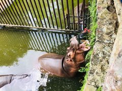 -海南热带野生动植物园