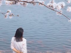 -羊山湖公园