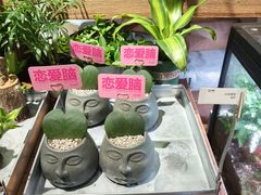 -瑞虹新天地月亮湾