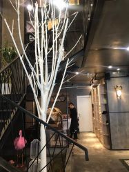 -上禾 HAIR SALON