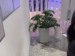 -LANN I 蘭 SPA(陆家嘴中心店)