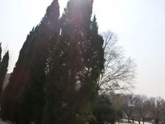 -秦始皇帝陵博物院-丽山园
