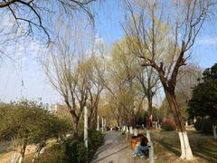 -桐乡植物园