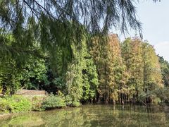 -金山植物公园