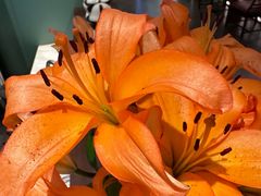 -南堂馆·新川菜(春熙路店)