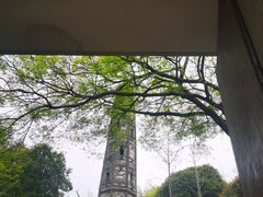 -上海佘山国家森林公园天马山园