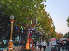 -青岛方特梦幻王国