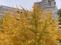 -辽宁大学(崇山校区)