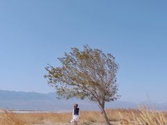 -盐湖景区