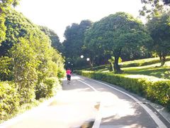 -荔香公园