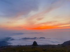 -东白山